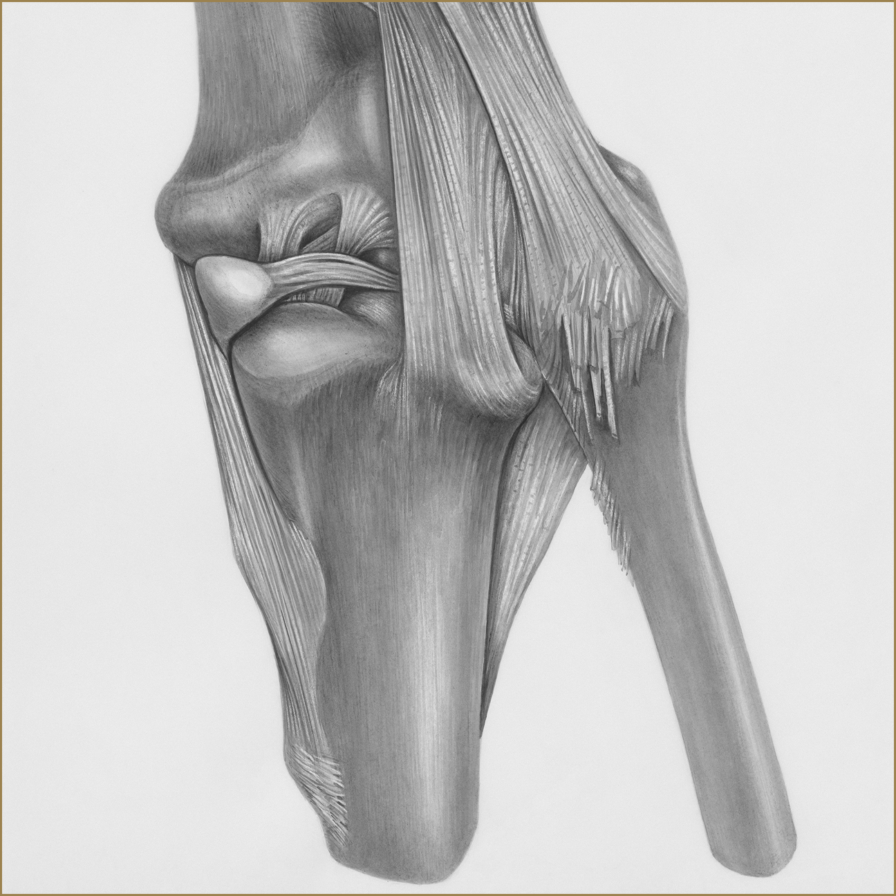 orthopadie treatment img